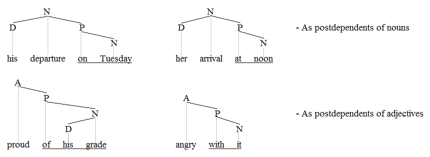 PPs sur les noms et les adjectifs