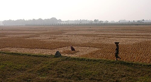 Clôture indienne, de Hili, Bangladesh