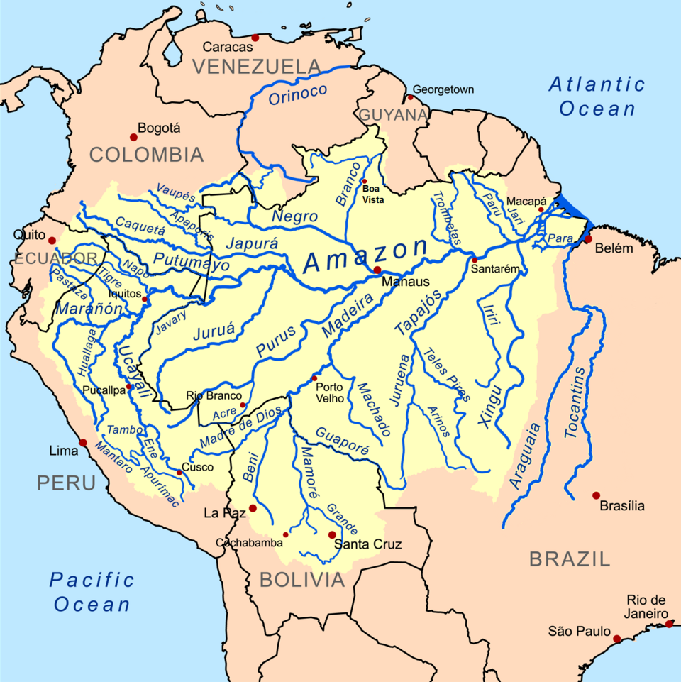 Le bassin de l'Amazone est un système composé de nombreux affluents. Les cours d'eau figurant sur la carte, à côté de l'Amazone, sont des affluents de ce dernier.