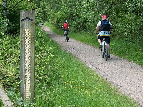 Photographie d'un sentier de vélo de montagne