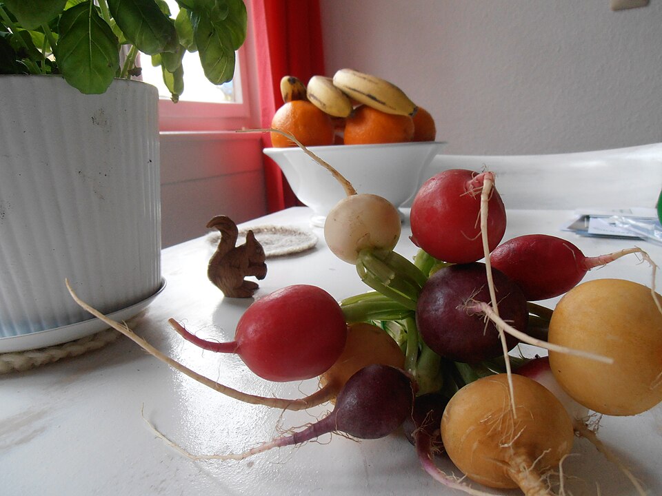 Plusieurs couleurs