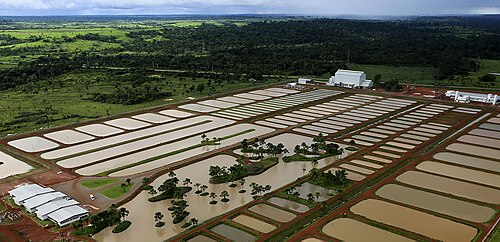 Complexe piscicole, à l'extérieur de Rio Branco, Brésil
