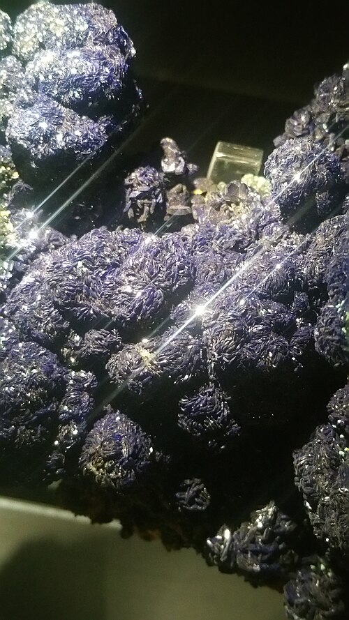 Cristal d'azurite, de la collection de minéraux du Musée d'histoire naturelle de Londres.