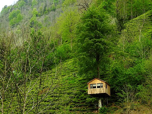 Une cabane dans les arbres en Turquie
