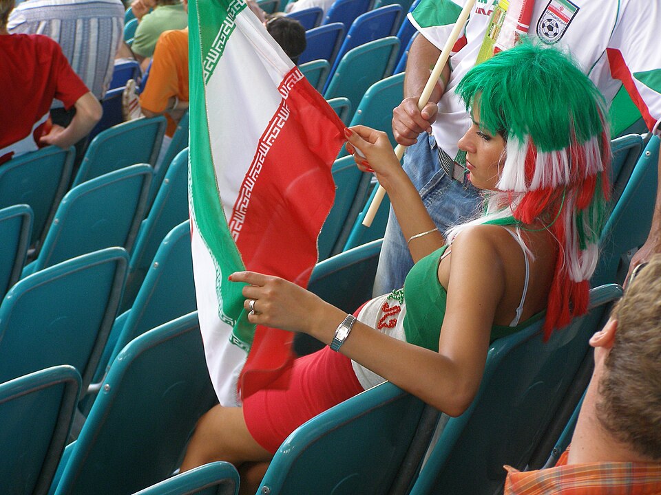 Supporter de football brandissant le drapeau pendant un match