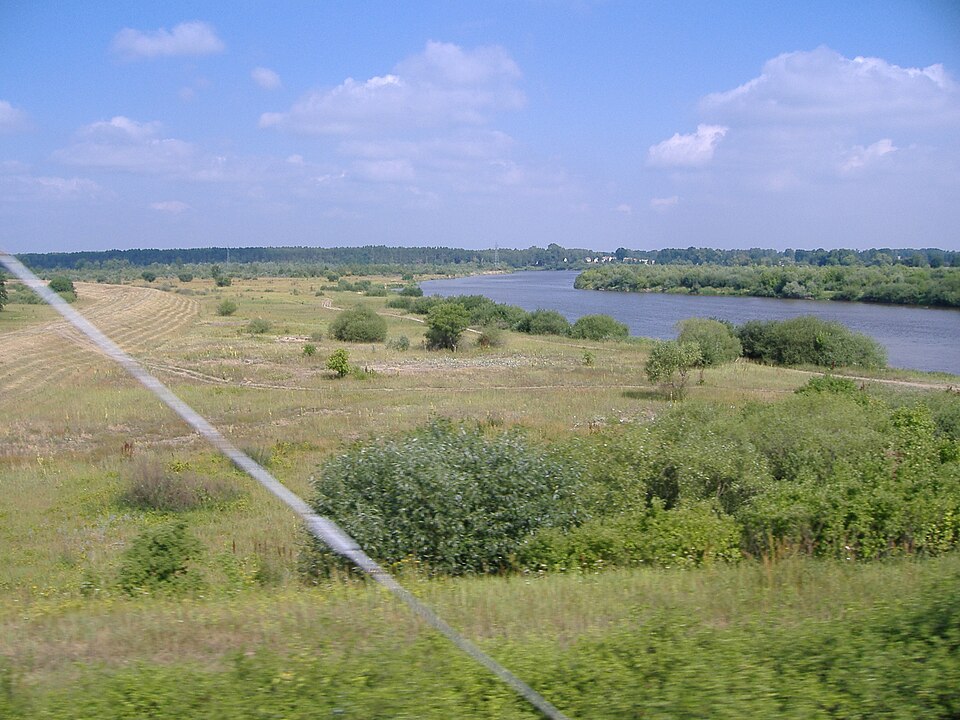 Rivière Bug à proximité de Małkinia Górna