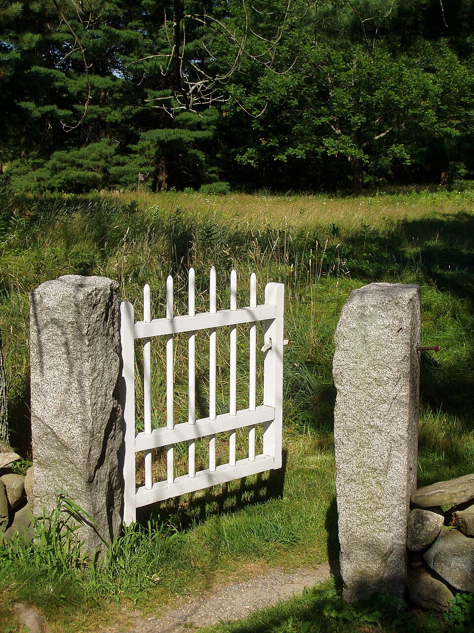 Une petite porte élégante donnant sur un chemin de prairie