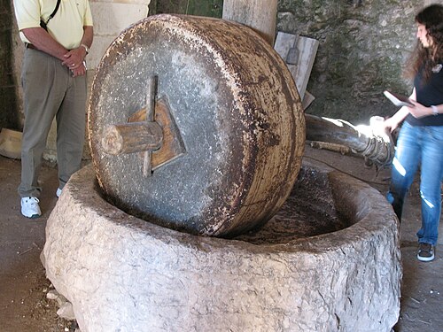 Moulin à huile - Nazareth. Le longeron traversant l'œillet est maintenu en place par une cheville et sert à faire tourner la meule actuelle.