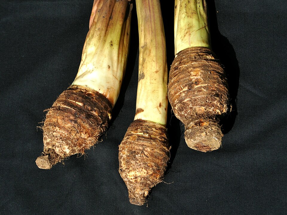 Cormes