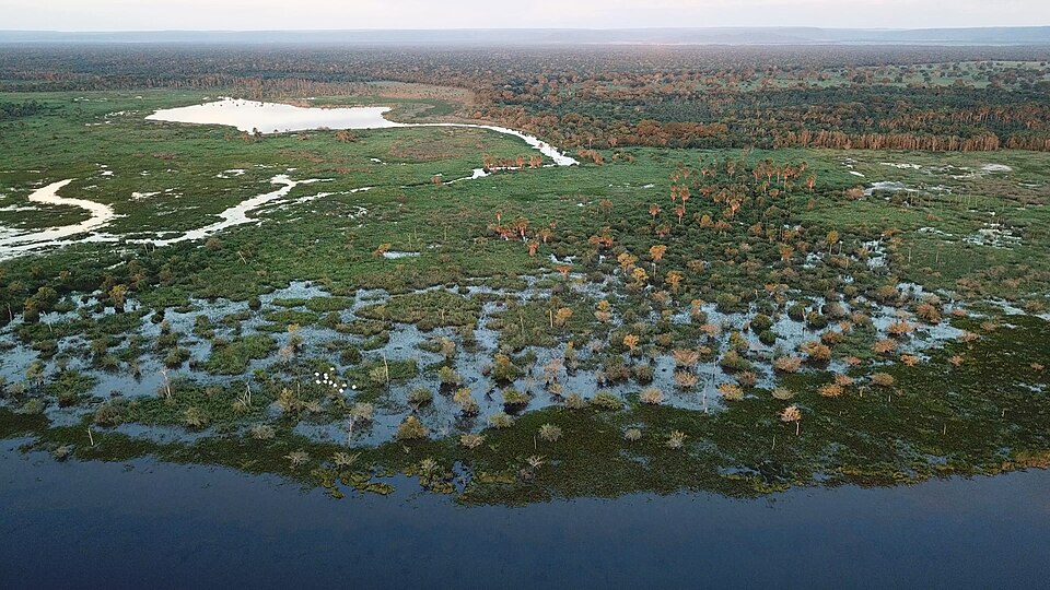 Pantanal dans le Mato Grosso