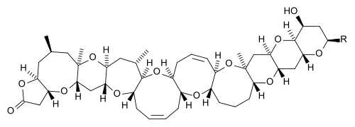 La brévétoxine A est un produit naturel à dix cycles, tous fusionnés et tous hétérocycliques, et un composant toxique associé aux organismes responsables des marées rouges. Le groupe R à droite fait référence à l'une des nombreuses chaînes latérales à quatre carbones possibles (voir l'article principal sur la brévétoxine ; non aromatique).