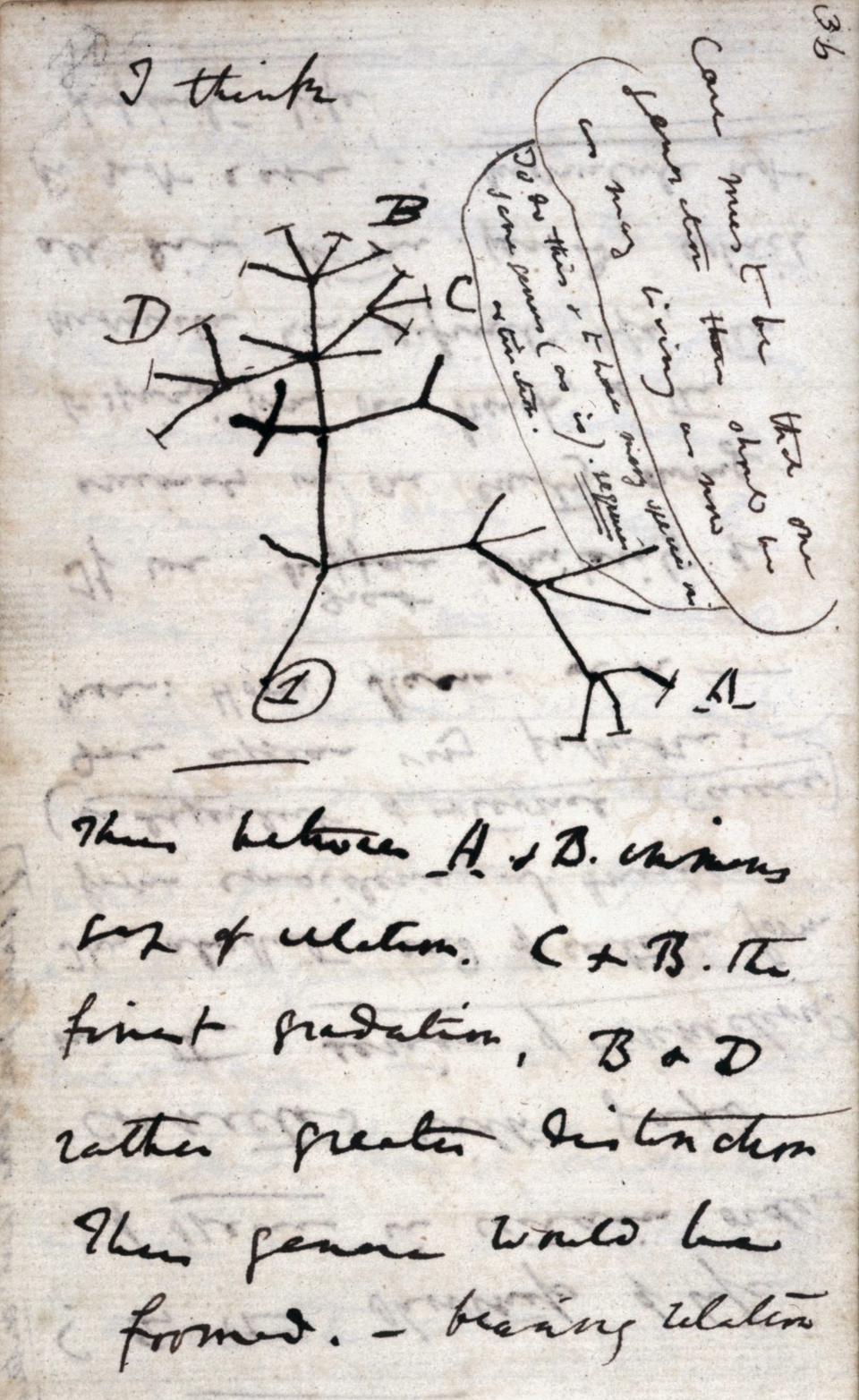 Croquis d'une carte avec légendes