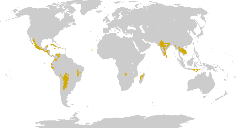 régions forestières sèches