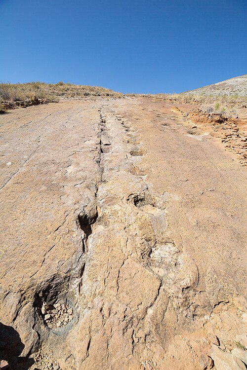 Empreintes de dinosaures du parc national de Torotoro en Bolivie.