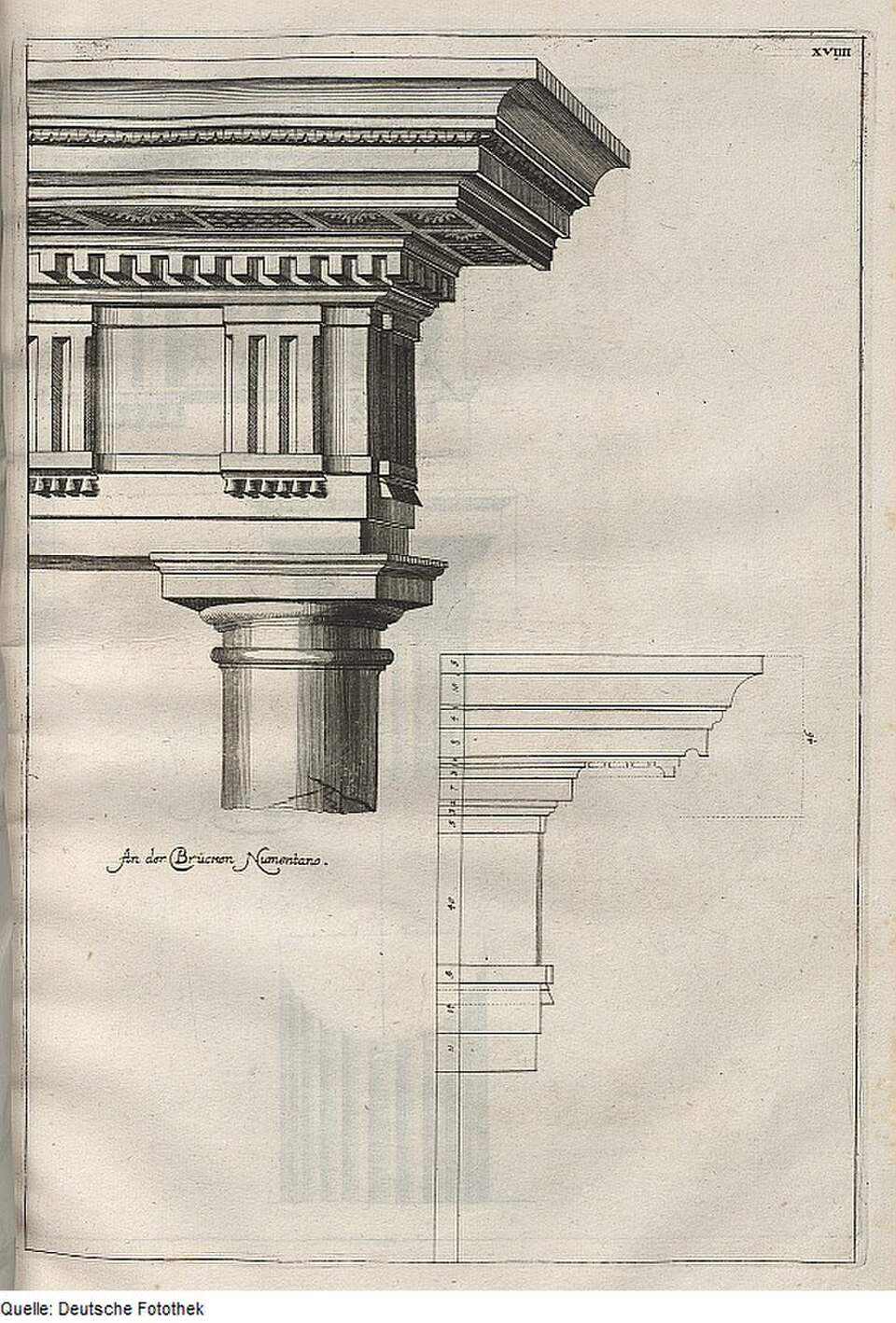 Illustration de l'ordre toscan