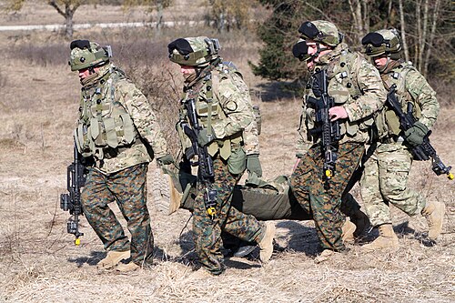 Les troupes géorgiennes portent un mélange de MultiCam et de MARPAT