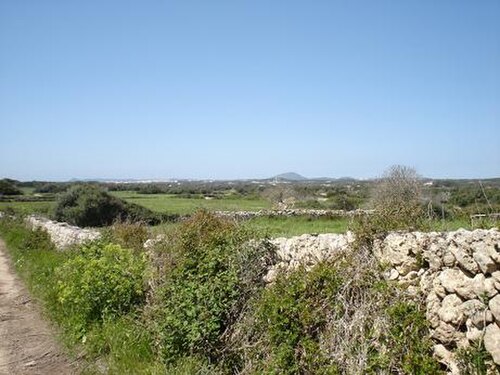 Campagne de Minorque
