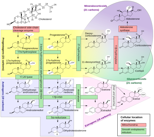Diagramme de flux chimique