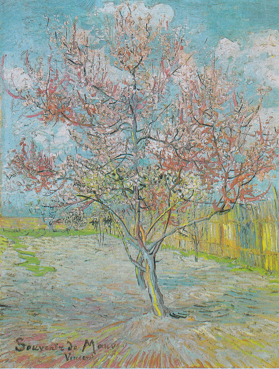 Une aquarelle représentant deux pêchers roses dans un verger en fleurs, près d'une clôture en bois, sous un ciel d'un bleu éclatant.
