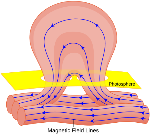 Schéma de la structure du champ magnétique d'une éruption solaire et de son origine, supposée résulter de la déformation d'une telle structure magnétique reliant l'intérieur solaire à l'atmosphère solaire jusqu'à la couronne.