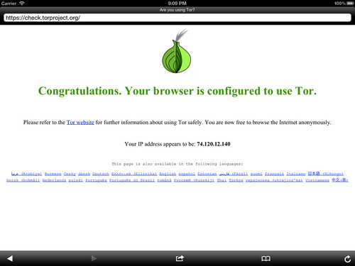 Navigateur Onion sur iPad