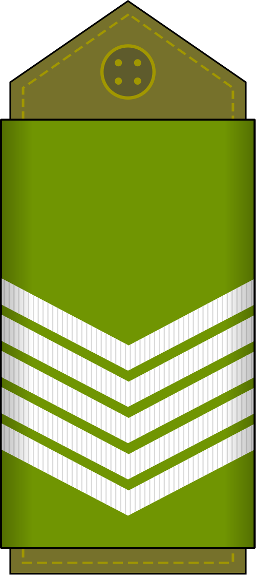 Sergent-major (Forces terrestres de la RD Congo)