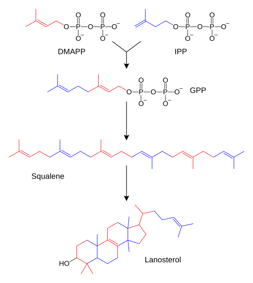Diagramme de flux chimique