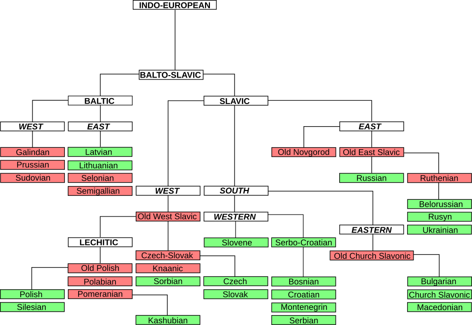 Graphique d'arborescence de langage