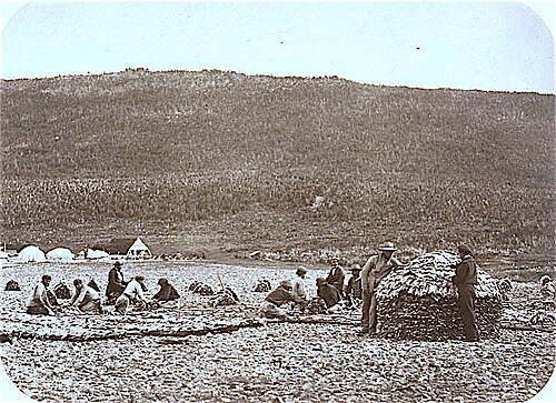 Préparation de la morue, station de pêche française à Cape Rouge, Terre-Neuve, vers 1857-1859