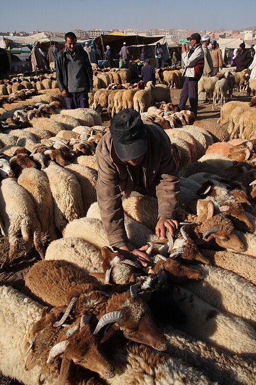 Marché aux moutons