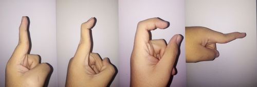 Mouvement des trois phalanges des doigts ; distale, moyenne et proximale