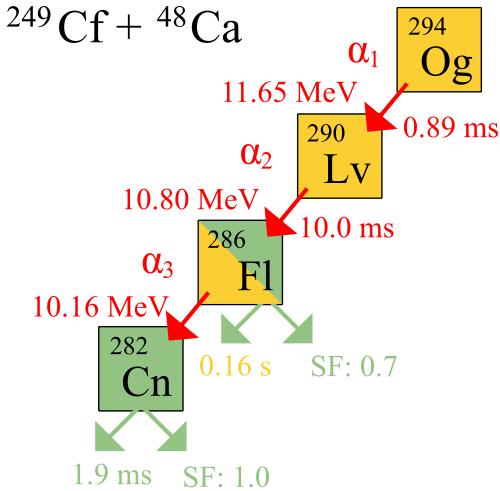 Schéma de la désintégration alpha de l'oganesson-294, avec une demi-vie de 0,89 ms et une énergie de désintégration de 11,65 MeV. Le livermorium-290 résultant se désintègre par désintégration alpha, avec une demi-vie de 10,0 ms et une énergie de désintégration de 10,80 MeV, en flerovium-286. Le flerovium-286 a une demi-vie de 0,16 s et une énergie de désintégration de 10,16 MeV, et subit une désintégration alpha en copernicium-282 avec un taux de fission spontanée de 0,7. Le copernicium-282 lui-même a une demi-vie de seulement 1,9 ms et a un taux de fission spontanée de 1,0.