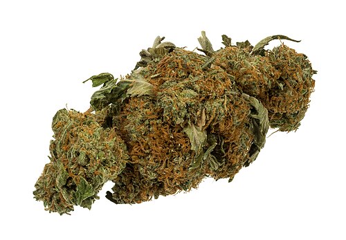 Boutons de fleurs séchées (marijuana)