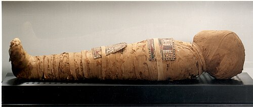 Momie Nesi (XXe dynastie). Bibliothèque Musée Víctor Balaguer. Vilanova et la Geltru. Espagne