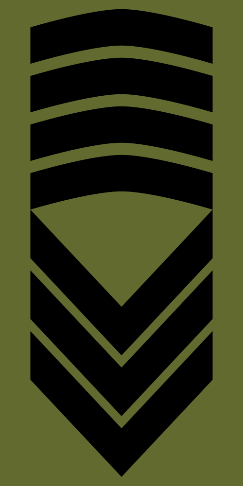 Sersjantmajor (armée norvégienne)