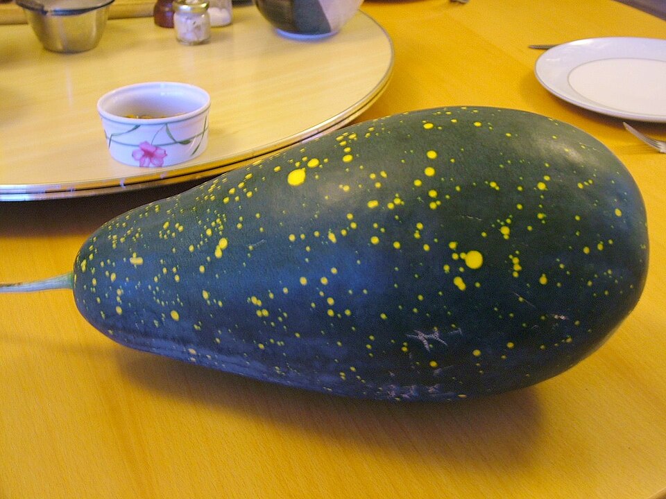 cultivar de pastèque 'Lune et étoiles'