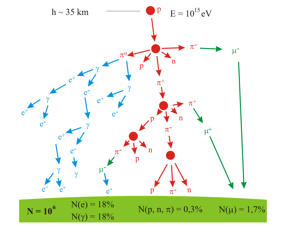 Un arbre ramifié représentant la production de particules