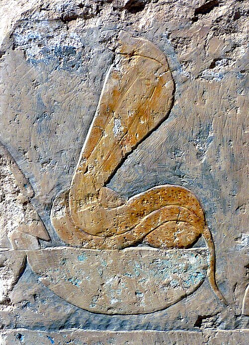 Wadjet représentée à côté de Nekhbet sur un bloc du temple funéraire d'Hatchepsout
