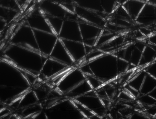 Éclairage à lumière polarisée croisée, le contraste de l'échantillon provient de la rotation de la lumière polarisée à travers l'échantillon.