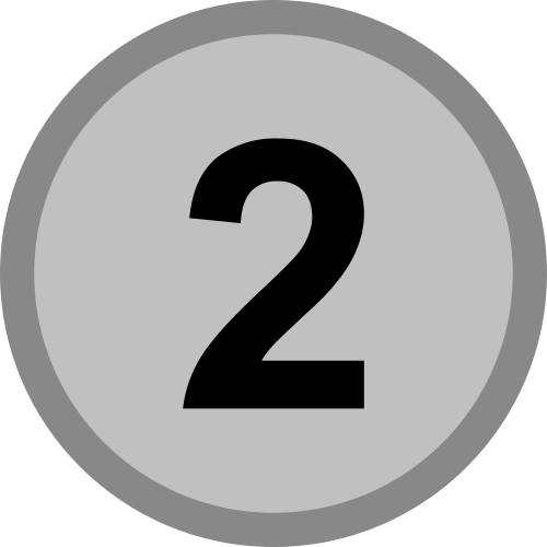 2e place, médaillé(s) d'argent