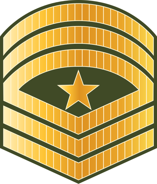 、 、 、 、 Saarjant meyjar (Force de défense nationale des Maldives)[29]