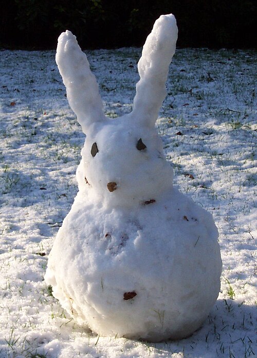 Lapin des neiges