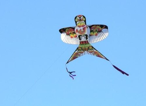 Cerf-volant de forme (artistique)