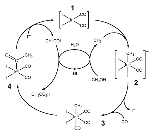Le cycle catalytique du procédé Cativa