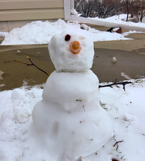 Mini bonhomme de neige avec une petite carotte pour le nez, des raisins secs pour les yeux et des brindilles pour les bras