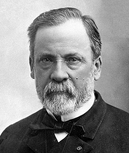 Le premier travail important du célèbre chimiste et bactériologiste français Louis Pasteur sur la prévention des maladies bactériennes concernait le choléra aviaire (Pasteurella multocida). Il a découvert que les poulets auxquels on avait injecté des cultures bactériennes de choléra aviaire vieillies ne tombaient pas malades comme les poulets auxquels on avait injecté des cultures fraîches. Cette découverte l'a conduit plus tard, ainsi que d'autres, à inventer des techniques antiseptiques, des vaccins et la théorie des germes.