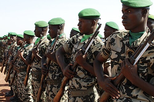 Des soldats alignés en rang, avec des casquettes vertes, portant des fusils