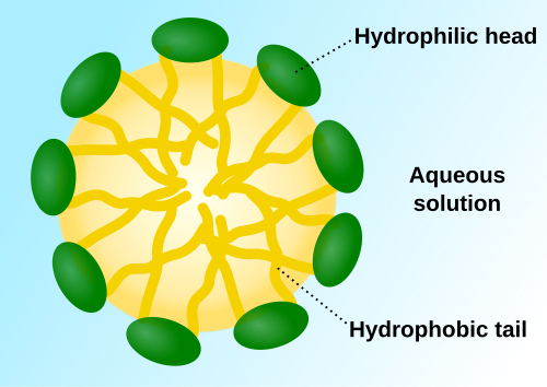 Une micelle – les extrémités lipophiles des molécules de tensioactif se dissolvent dans l’huile, tandis que les extrémités chargées hydrophiles restent à l’extérieur dans la phase aqueuse, protégeant le reste de la micelle hydrophobe. De cette façon, la petite gouttelette d’huile devient soluble dans l’eau.