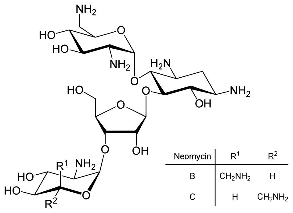 Une structure chimique de la molécule de néomycine.