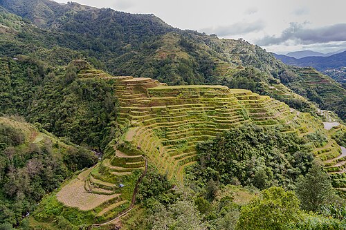Une colline en terrasses, vue d'en haut